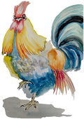 Affiche Coq multicolore - illustration animalière