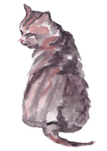 Carte Chat de Dos - illustration animalière