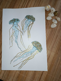 Affiche Méduse - illustration marine