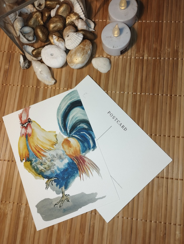 Carte Coq multicolore - illustration animalière