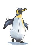 Carte Le Pingouin - illustration animalière